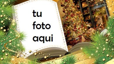 Libro De Año Nuevo Marco Para Foto 390x220 - Libro De Año Nuevo Marco Para Foto