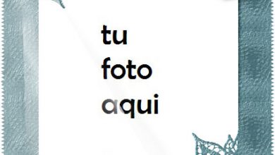 Lista De Álbumes De Fotos Marco Para Foto 390x220 - Lista De Álbumes De Fotos Marco Para Foto