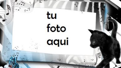 Llaves Marco Para Foto 390x220 - Llaves Marco Para Foto