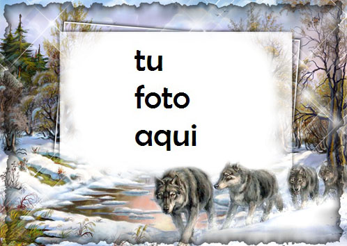 Lobas Marco Para Foto - Lobas Marco Para Foto