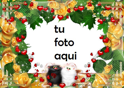 Los Gatos Aman El Romance Marco Para Foto - Los Gatos Aman El Romance Marco Para Foto