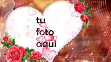Los Momentos Más Felices Hermosos Corazones Y Hermosas Flores Rojas Marco Para Foto 390x220 - Los Momentos Más Felices Hermosos Corazones Y Hermosas Flores Rojas Marco Para Foto