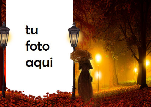 Luz Misteriosa En La Noche De Otoño Marco Para Foto - Luz Misteriosa En La Noche De Otoño Marco Para Foto