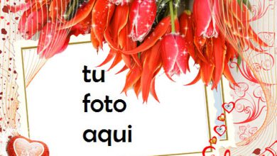 Majestad las fotos más bellas de encantador y romántico Marco Para Foto 390x220 - Majestad las fotos más bellas de encantador y romántico Marco Para Foto
