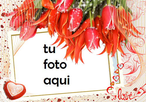 Majestad las fotos más bellas de encantador y romántico Marco Para Foto - Majestad las fotos más bellas de encantador y romántico Marco Para Foto