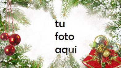 Marco De Bolas Rojas Y Decoraciones Verdes Para La Víspera De Año Nuevo Marco Para Foto 390x220 - Marco De Bolas Rojas Y Decoraciones Verdes Para La Víspera De Año Nuevo Marco Para Foto