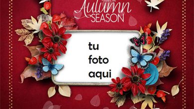 Marco Para Foto Disfruta la temporada de otoño Otoño Marcos 390x220 - Marco Para Foto Disfruta la temporada de otoño Otoño Marcos