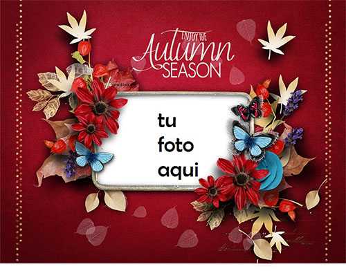 Marco Para Foto Disfruta la temporada de otoño Otoño Marcos - Marco Para Foto Disfruta la temporada de otoño Otoño Marcos