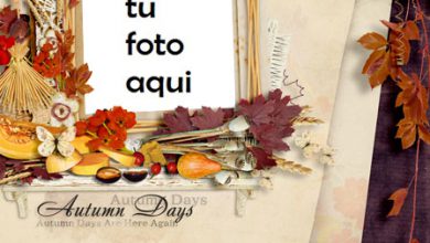 Marco Para Foto Días de otoño Otoño Marcos 390x220 - Marco Para Foto Días de otoño Otoño Marcos