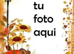 Marco Para Foto Otoño brillante 2 Otoño Marcos 298x220 - Marco Para Foto Otoño brillante 2 Otoño Marcos