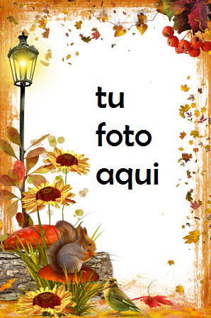 Marco Para Foto Otoño brillante 2 Otoño Marcos - Marco Para Foto Otoño brillante 2 Otoño Marcos
