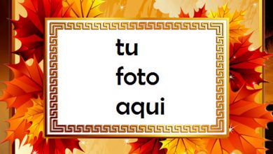 Marco Para Foto Otoño brillante Otoño Marcos 390x220 - Marco Para Foto Otoño brillante Otoño Marcos