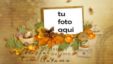 Marco Para Foto Otoño colorido Otoño Marcos 390x220 - Marco Para Foto Otoño colorido Otoño Marcos