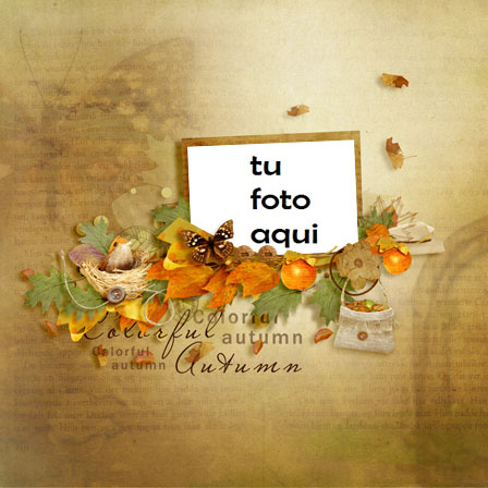 Marco Para Foto Otoño colorido Otoño Marcos - Marco Para Foto Otoño colorido Otoño Marcos