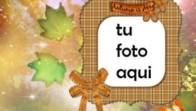 Marco Para Foto Otoño está aquí Otoño Marcos 390x220 - Marco Para Foto Otoño está aquí Otoño Marcos