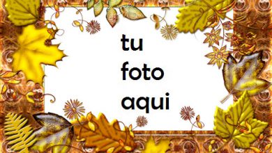 Marco Para Foto Otoño hoja caída Otoño Marcos 390x220 - Marco Para Foto Otoño hoja caída Otoño Marcos