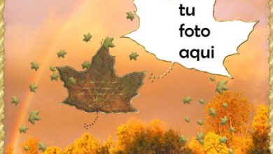 Marco Para Foto Paisaje de otoño Otoño Marcos 390x220 - Marco Para Foto Paisaje de otoño Otoño Marcos
