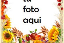 Marco Para Foto Regalos de otoño Otoño Marcos 220x150 - Marco Para Foto Regalos de otoño Otoño Marcos