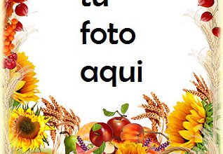 Marco Para Foto Regalos de otoño Otoño Marcos 318x220 - Marco Para Foto Regalos de otoño Otoño Marcos