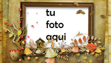 Marco Para Foto Retrato de otoño Otoño Marcos 390x220 - Marco Para Foto Retrato de otoño Otoño Marcos