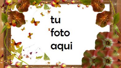 Marco Para Foto Secreto de otoño Otoño Marcos 390x220 - Marco Para Foto Secreto de otoño Otoño Marcos