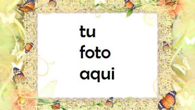 Mariposas Bailando Marco Para Foto 390x220 - Mariposas Bailando Marco Para Foto