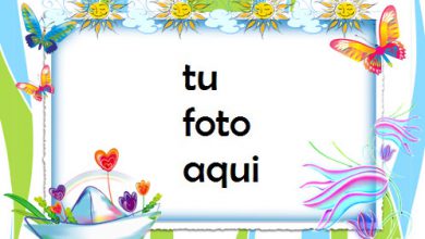 Mariposas Bellos Momentos Marco Para Foto 390x220 - Mariposas Bellos Momentos Marco Para Foto