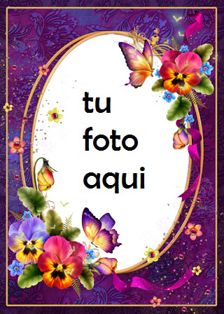 Mariposas Finas Y Rosas Maravillosas Marco Para Foto - Mariposas Finas Y Rosas Maravillosas Marco Para Foto