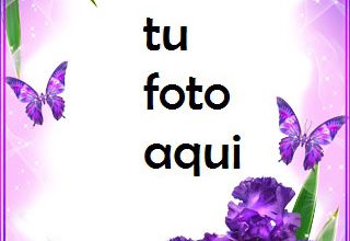 Mariposas Moradas Marco Para Foto 320x220 - Mariposas Moradas Marco Para Foto