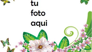 Mariposas Y Rosas Verdes Marco Para Foto 390x220 - Mariposas Y Rosas Verdes Marco Para Foto