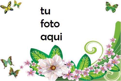Mariposas Y Rosas Verdes Marco Para Foto - Mariposas Y Rosas Verdes Marco Para Foto