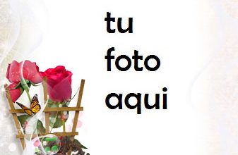 Mi Corazón Y Tu Corazón Amados Marco Para Foto 337x220 - Mi Corazón Y Tu Corazón Amados Marco Para Foto