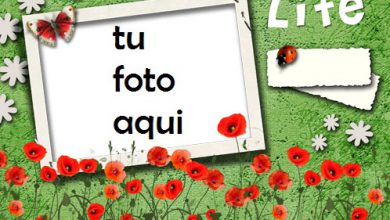 Mi Vida Esta En Tus Manos Marco Para Foto 390x220 - Mi Vida Esta En Tus Manos Marco Para Foto