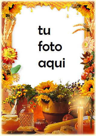 Miel En Todas Partes Marco Para Foto - Miel En Todas Partes Marco Para Foto