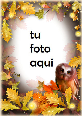 Misterios Del Bosque Otoñal Marco Para Foto - Misterios Del Bosque Otoñal Marco Para Foto
