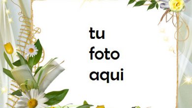 Muy Hermosas Flores Románticas Marco Para Foto 390x220 - Muy Hermosas Flores Románticas Marco Para Foto