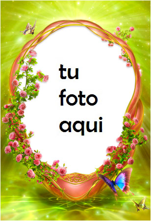 Nido de pájaro Marco Para Foto - Nido de pájaro Marco Para Foto