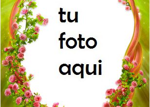 Nido de pájaro Marco Para Foto 308x220 - Nido de pájaro Marco Para Foto