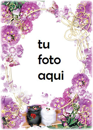 Nuestro Gran Amor Las Imagenes Romanticas Mas Bellas Marco Para Foto - Nuestro Gran Amor Las Imagenes Romanticas Mas Bellas Marco Para Foto