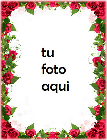 Obra Maestra De Flores Para El Día De San Valentín Marco Para Foto - Obra Maestra De Flores Para El Día De San Valentín Marco Para Foto