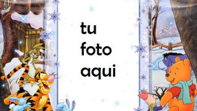 Osito Tigre Y Osito Marcos Para Foto 390x220 - Osito Tigre Y Osito Marcos Para Foto