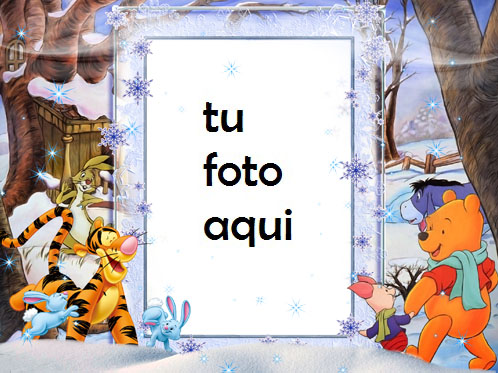 Osito Tigre Y Osito Marcos Para Foto - Osito Tigre Y Osito Marcos Para Foto