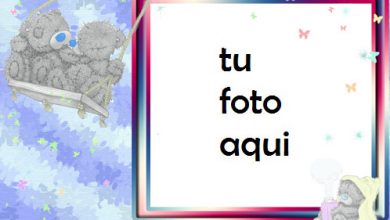 Oso De Peluche Romántico Marco Para Foto 390x220 - Oso De Peluche Romántico Marco Para Foto