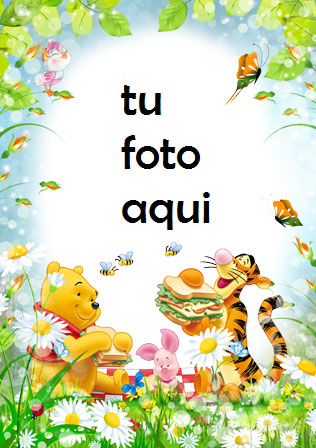 Oso De Peluche Y Amigos Marcos Para Foto - Oso De Peluche Y Amigos Marcos Para Foto
