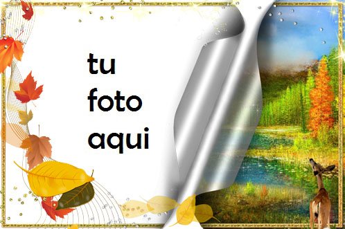 Otoño Maravilloso Marco Para Foto - Otoño Maravilloso Marco Para Foto