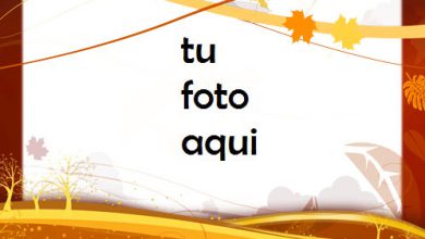 Otoño Calido Marco Para Foto 390x220 - Otoño Calido Marco Para Foto