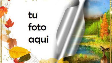 Otoño Maravilloso Marco Para Foto 390x220 - Otoño Maravilloso Marco Para Foto