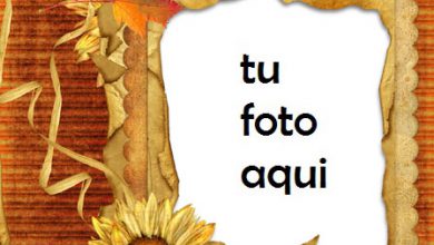 Otoño Triste Marco Para Foto 390x220 - Otoño Triste Marco Para Foto