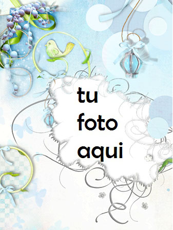 Pájaro Del Amor Marco Para Foto - Pájaro Del Amor Marco Para Foto