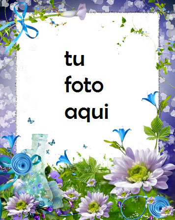 Paraíso De Rosas Azules Y Violetas Marco Para Foto - Paraíso De Rosas Azules Y Violetas Marco Para Foto